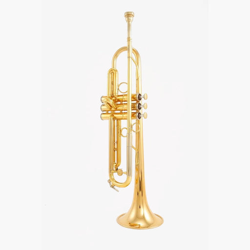 Scodwell Mike Vax Model Bb Trumpet