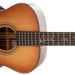 Breedlove Jeff Bridges Signature Concert Copper E Acoustic Guitar - New