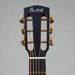 Bedell Revolution Parlor Size Guitar - Cocobolo and AD Spruce - Amber Burst - CHUCKSCLUSIVE - #1222002