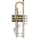 Bach 190L-65GV Professional Bb Trumpet