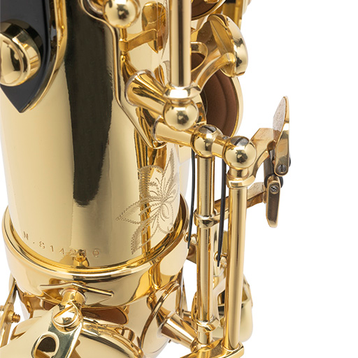 Selmer Paris 52 Axos Professional Alto Saxophone