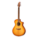 Breedlove Signature Concert Copper CE Acoustic Electric Guitar - Preorder