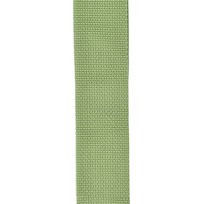 Planet Waves Polypro Guitar Strap - Green