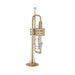 Bach 190L-65GV Professional Bb Trumpet