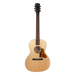 Waterloo WL-14 Scissortail Acoustic Guitar - New