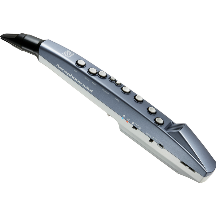 Roland AE-01 Aerophone mini Digital Wind Instrument