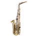 Blessing BAS-1287 Alto Saxophone Outfit - Gold Lacquer - Preorder