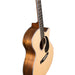 Martin GPC-16E Acoustic Electric Guitar - Mahogany - New