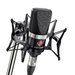 Neumann TLM 102 Studio Set Cardioid Condenser Microphone With EA 4 Shock Mount - Black - Mint, Open Box