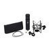 Warm Audio WA-47JR Transformerless FET Condenser Microphone - Black