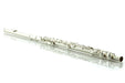 Di Zhao DZA-100 Alto Flute