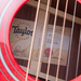 Taylor 414ce Limited Edition Grand Auditiorium Acoustic Guitar - Watermelon King - CHUCKSCLUSIVE - New