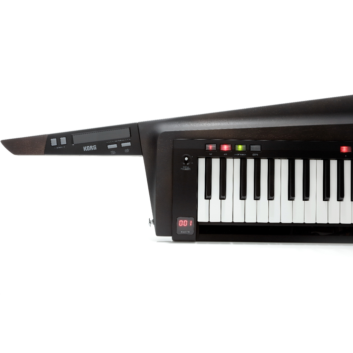 Korg RK-100S 2 37-Key Keytar - Translucent Black