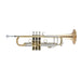 Bach 190L-65GV Professional Bb Trumpet