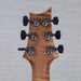 PRS Wood Library Custom 24 Electric Guitar - Private Stock Goldstorm Fade Finish - CHUCKSCLUSIVE - #240383979