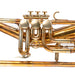 Schagerl "Killer Queen" Rotary Valve Flugelhorn - Raw Brass