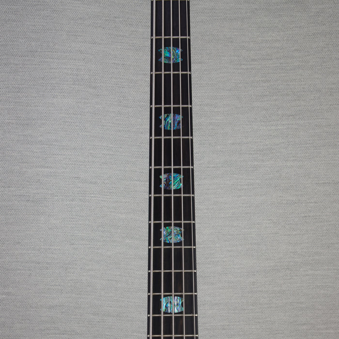 Spector NS5 5-String Bass Guitar - Northern Lights - #665