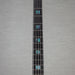 Spector NS5 5-String Bass Guitar - Northern Lights - #665