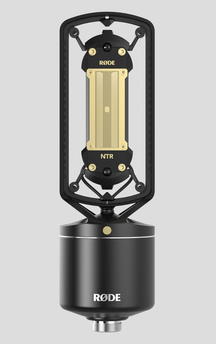 Rode NTR Active Ribbon Microphone - Preorder