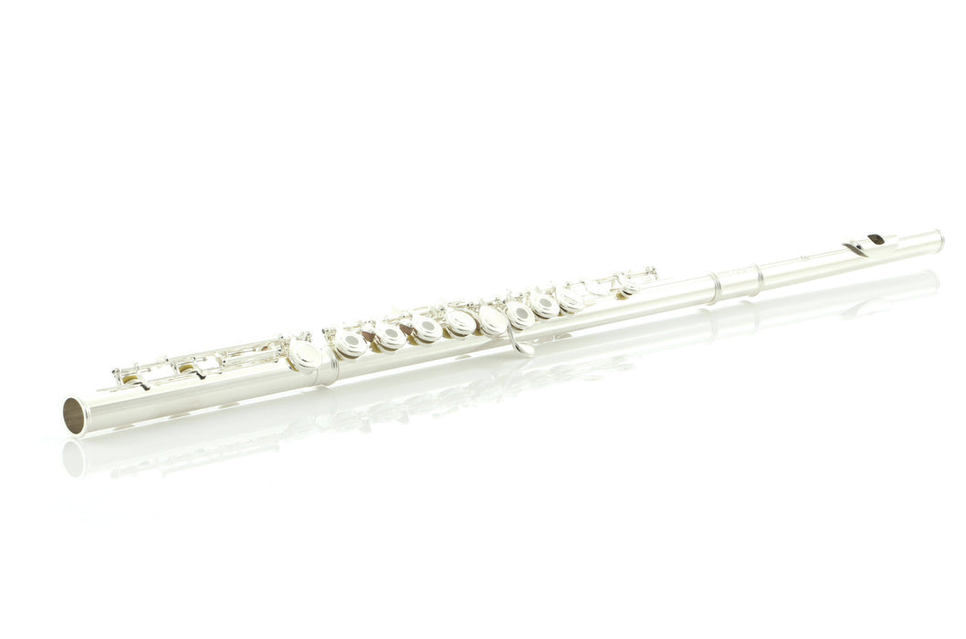 Di Zhao DZ 400BGF Intermediate Flute