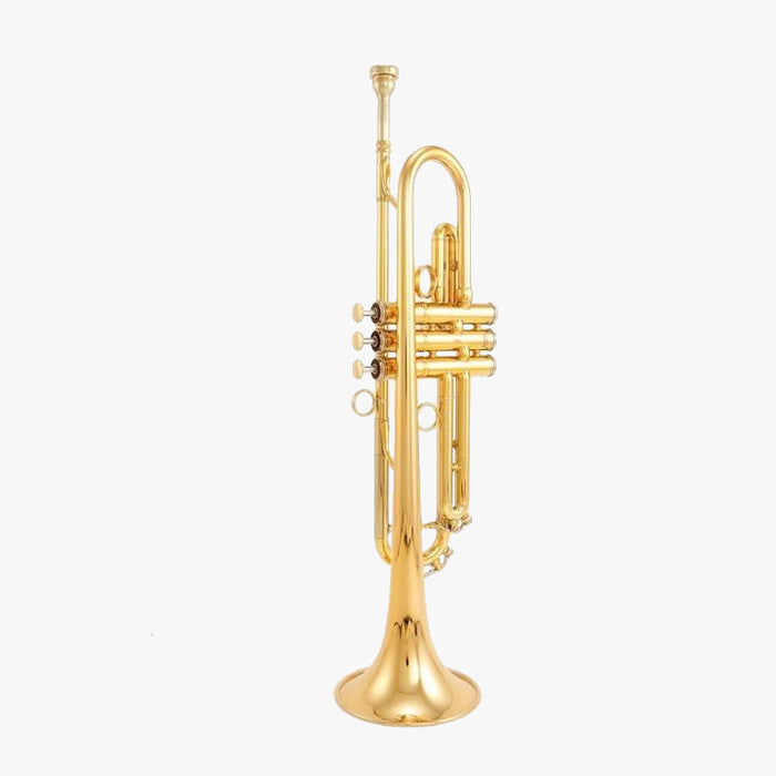 Scodwell Mike Vax Model Bb Trumpet