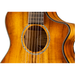 Breedlove Pursuit Exotic Companion Prairie Burst CE Acoustic Electric Guitar - New