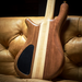 Spector NS-1 - Solid Walnut - Woodstock Custom Collection