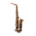 Schagerl A-2B Superior Alto Saxophone - Bronze