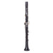 Backun Beta Grenadilla B-Flat Clarinet - Nickel Keywork