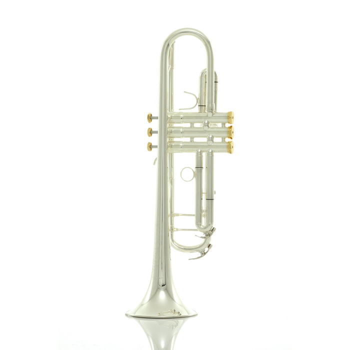 Andreas Eastman ETR520GS Intermediate B-Flat Trumpet - Gold Brass Bell