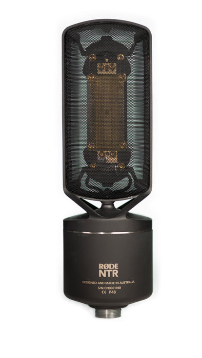 Rode NTR Active Ribbon Microphone - Preorder