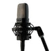 Warm Audio WA-14 Large Diaphragm Condenser Microphone