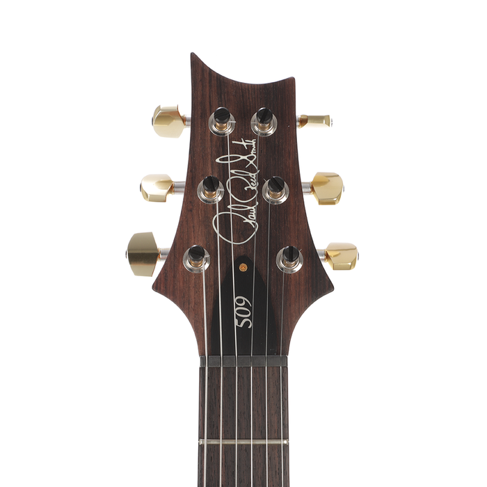 PRS 509 10-Top Electric Guitar - Copperhead