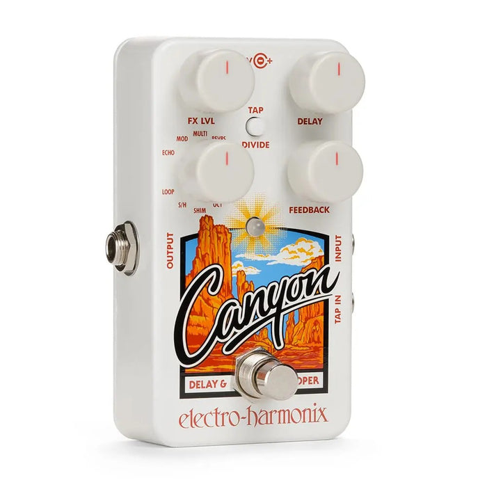 Electro-Harmonix Canyon Delay And Looper Effects Pedal