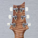 PRS Wood Library DGT Electric Guitar - Private Stock Goldstorm Fade Finish - CHUCKSCLUSIVE - #240386773