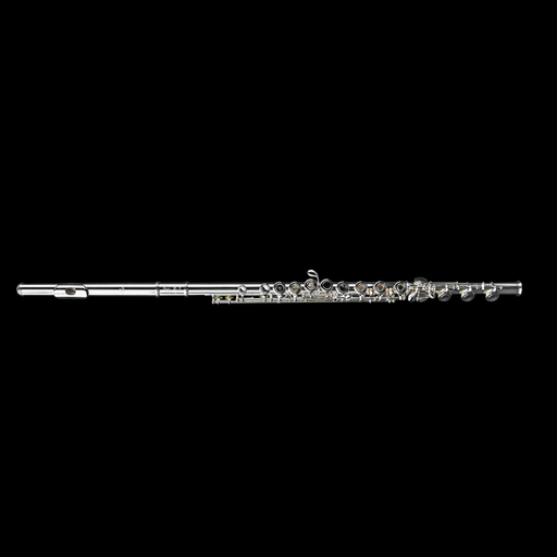 Di Zhao DZ 300BOF Step-Up Flute