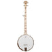 Deering Goodtime Deco 5-String Banjo