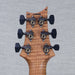 PRS Wood Library Custom 24 Electric Guitar - Private Stock Goldstorm Fade Finish - CHUCKSCLUSIVE - #240383984