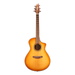 Breedlove Signature Concert Copper CE Acoustic Electric Guitar - Preorder - New