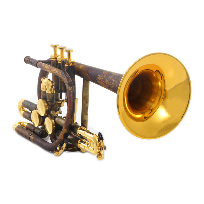 Schagerl Raweni Rotary Trumpet - Vintage Matte Lacquered with Gold Plated Trim