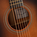 Breedlove Performer Concert Bourbon CE Acoustic Guitar - Bourbon Burst High Gloss - Preorder - New