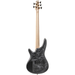 Ibanez SR305EDXBZM 5-String Bass Guitar - Black Ice Frozen Matte - Preorder