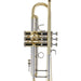 Bach 19043 Stradivarius Professional Bb Trumpet - Clear Lacquer