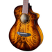 Breedlove ECO Pursuit Exotic S Companion CE Acoustic Guitar - Tiger's Eye, Myrtlewood