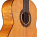 Cordoba C5 Limited Nylon String Guitar - Flamed Mahogany - New