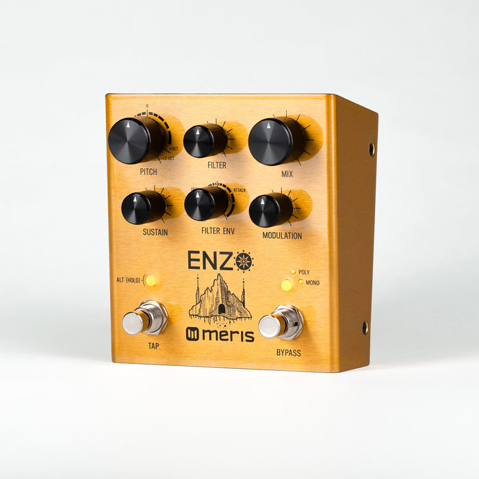 Meris Enzo Multi-Voice Instrument Synthesizer Pedal