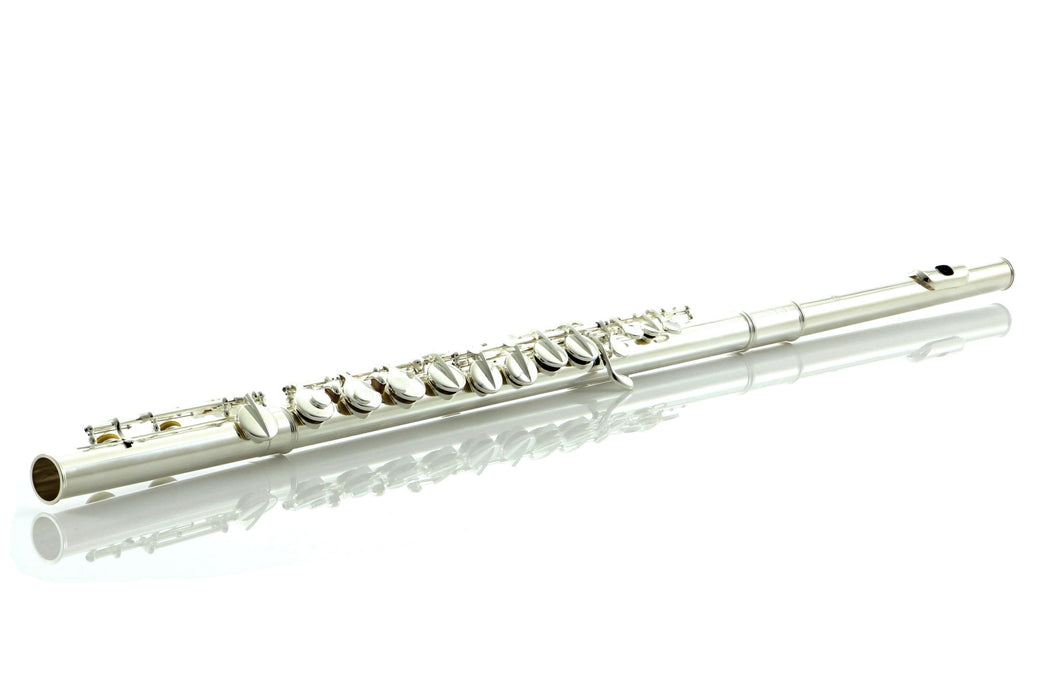 Di Zhao DZA-100 Alto Flute