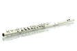 Di Zhao DZA-100 Alto Flute