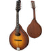 Eastman PCH-M104 Mandolin - Goldburst