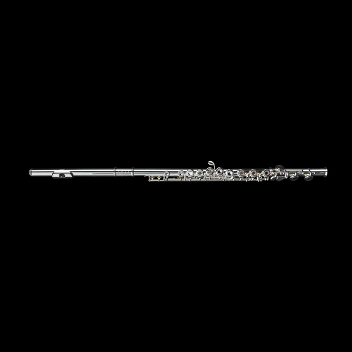 Di Zhao DZ 201COF Student Flute